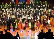 Koncert  simfoničnega orkestra 7. 2. 2012